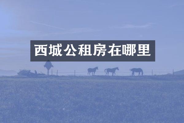 西城公租房在哪里
