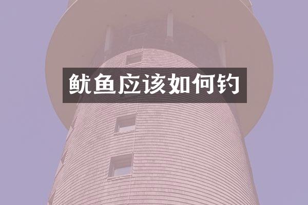 鱿鱼应该如何钓