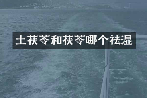 土茯苓和茯苓哪个祛湿