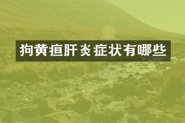 狗黄疸肝炎症状有哪些