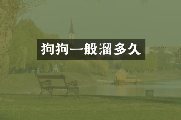 狗狗一般溜多久