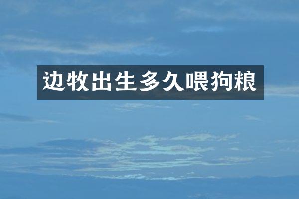 边牧出生多久喂狗粮