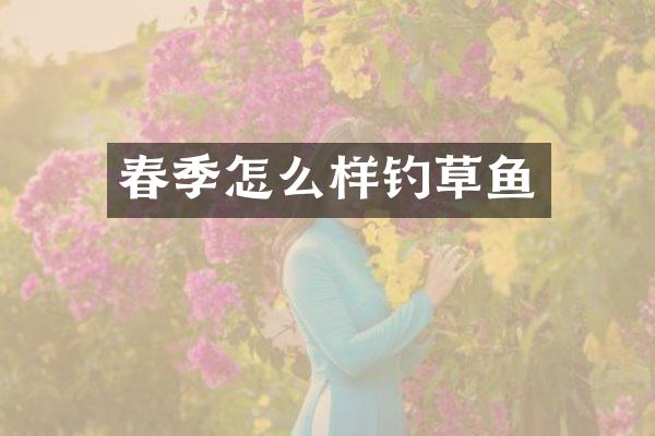 春季怎么样钓草鱼