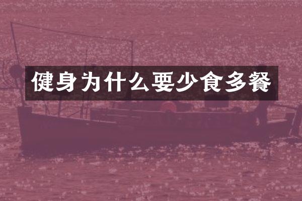 健身为什么要少食多餐