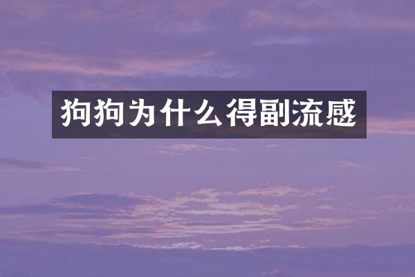 狗狗为什么得副流感