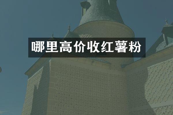 哪里高价收红薯粉