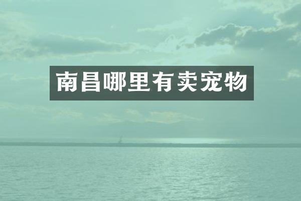 南昌哪里有卖宠物