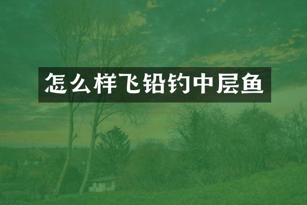 怎么样飞铅钓中层鱼