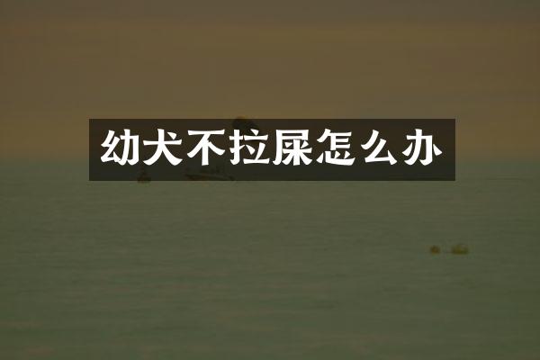 幼犬不拉屎怎么办