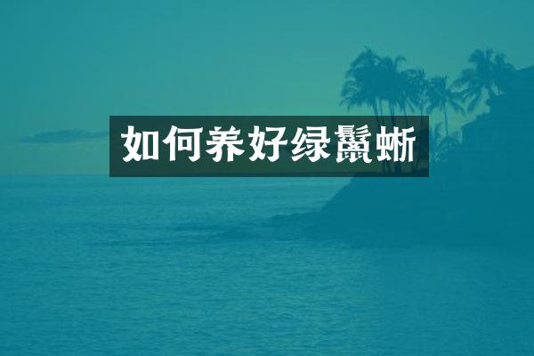 如何养好绿鬣蜥