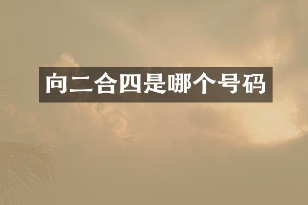 向二合四是哪个号码