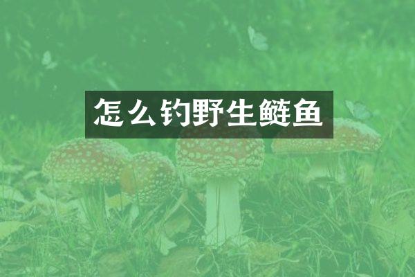 怎么钓野生鲢鱼