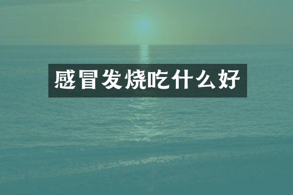 感冒发烧吃什么好