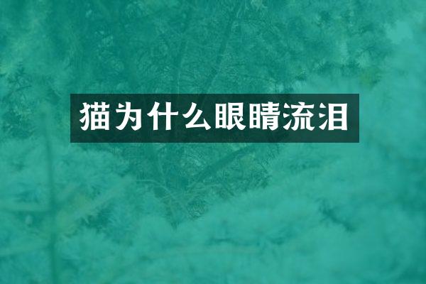 猫为什么眼睛流泪