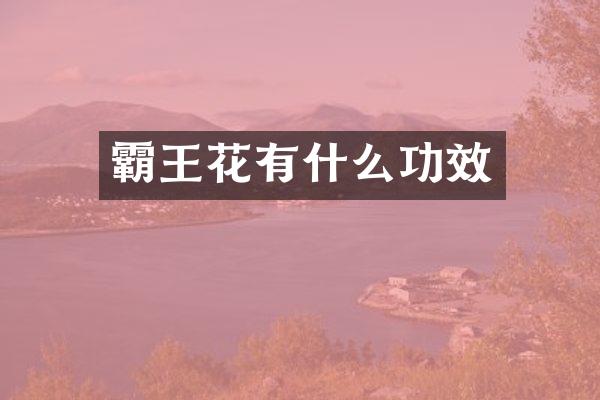 霸王花有什么功效