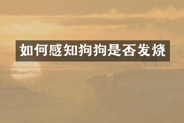 如何感知狗狗是否发烧