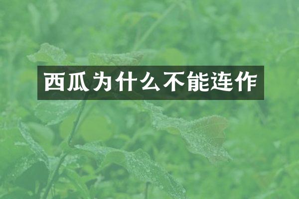 西瓜为什么不能连作