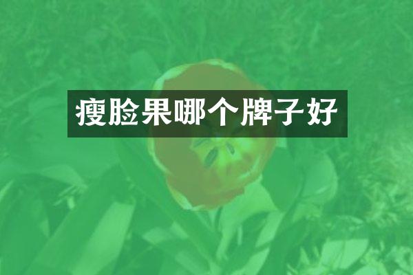 瘦脸果哪个牌子好