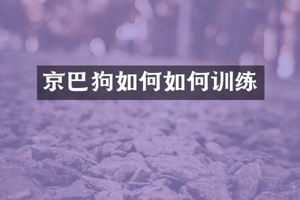 京巴狗如何如何训练
