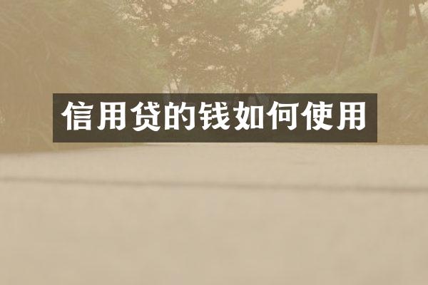 信用贷的钱如何使用