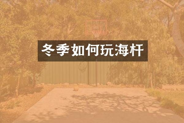 冬季如何玩海杆