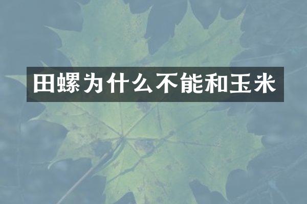 田螺为什么不能和玉米