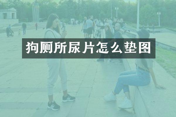 狗厕所尿片怎么垫图