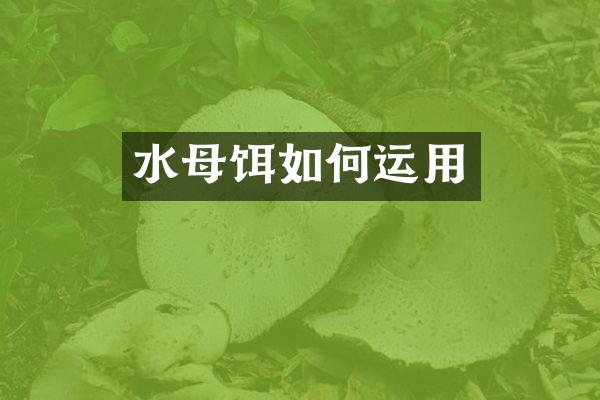 水母饵如何运用
