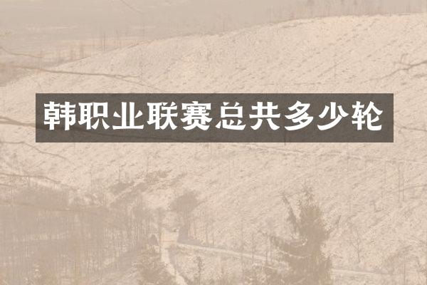 韩职业联赛总共多少轮