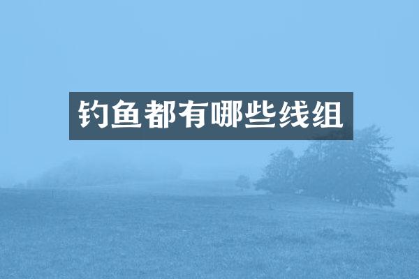 钓鱼都有哪些线组