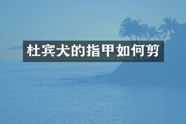 杜宾犬的指甲如何剪