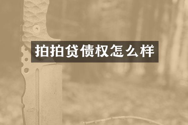 拍拍贷债权怎么样