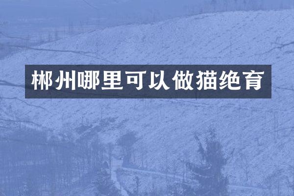 郴州哪里可以做猫绝育