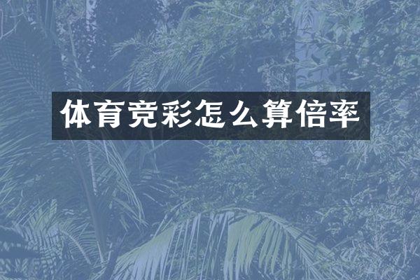 体育竞彩怎么算倍率