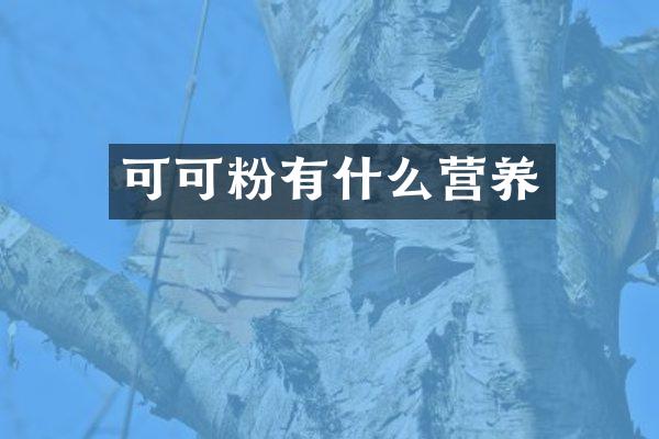 可可粉有什么营养