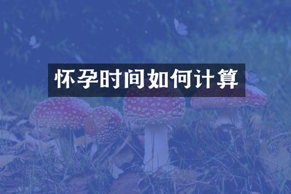 怀孕时间如何计算