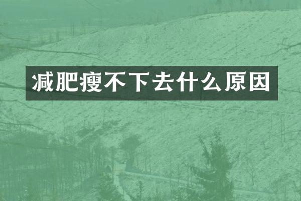 减肥瘦不下去什么原因