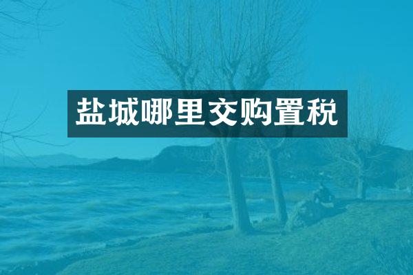 盐城哪里交购置税