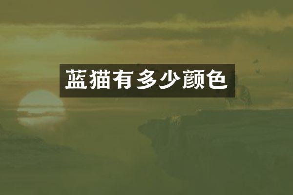 蓝猫有多少颜色