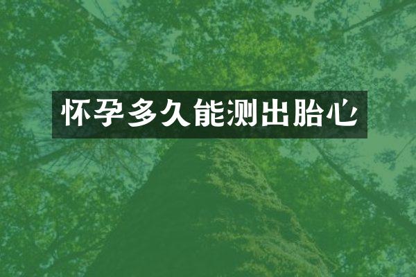 怀孕多久能测出胎心