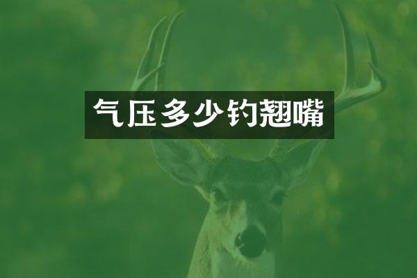 气压多少钓翘嘴