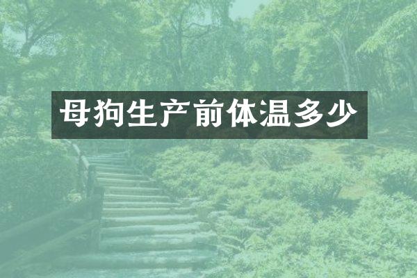 母狗生产前体温多少