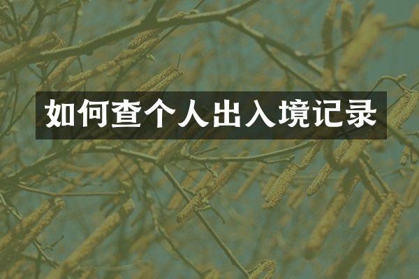 如何查个人出入境记录