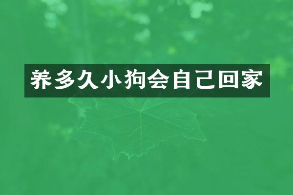 养多久小狗会自己回家