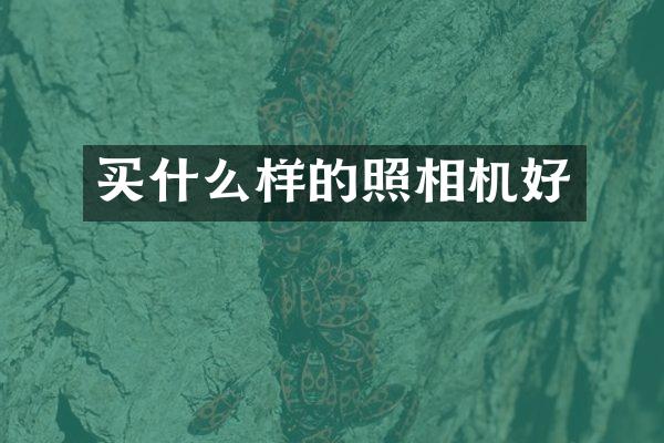 买什么样的照相机好