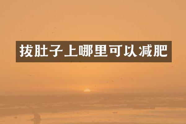 拔肚子上哪里可以减肥