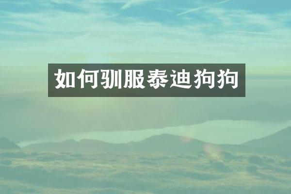 如何驯服泰迪狗狗