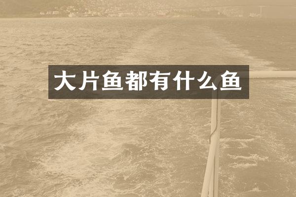 大片鱼都有什么鱼