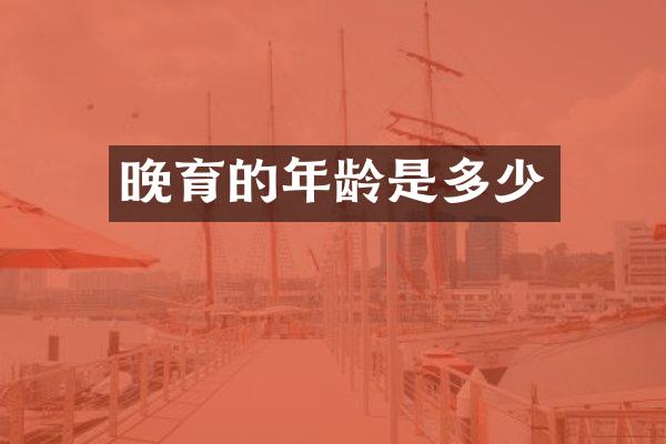 晚育的年龄是多少