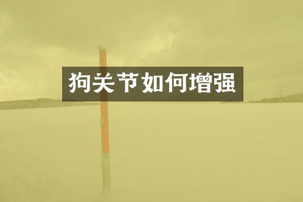 狗关节如何增强
